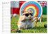 Hamster Olympiade - Der flauschigste... - Bild 3