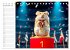 Hamster Olympiade - Der flauschigste... - Bild 5