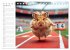 Hamster Olympiade - Der flauschigste... - Bild 7