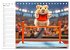 Hamster Olympiade - Der flauschigste... - Bild 9