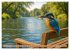 Eisvogelträume am Wasser (Wandkalender... - Bild 4