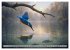 Eisvogelträume am Wasser (Wandkalender... - Bild 10