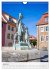 Martin Luther. Town of Lutherstadt... - Bild 13