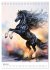 Fantastic horses from myths and legends... - Bild 13