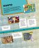 Pokémon Handbuch: Pokémon: Timelines ... - Bild 7