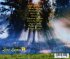 Midnight Sun - Bild 2