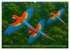 Über dem Vogelflug (hochwertiger... - Bild 2