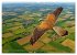 Über dem Vogelflug (hochwertiger... - Bild 11