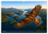 Über dem Vogelflug (hochwertiger... - Bild 13