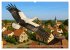 Über dem Vogelflug (hochwertiger... - Bild 14