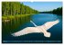 Über dem Vogelflug (hochwertiger... - Bild 8