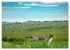 Barolo in den Hügeln des Langhe... - Bild 9