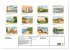 Kretische Impressionen (Wandkalender... - Bild 6
