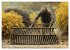 Coole Berufe (Wandkalender 2026 DIN A2... - Bild 3