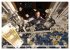 Coole Berufe (Wandkalender 2026 DIN A2... - Bild 9