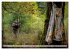 Coole Berufe (Wandkalender 2026 DIN A2... - Bild 10