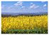 Feldansichten (Wandkalender 2026 DIN A3... - Bild 4