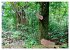 Sao Tome. Paradiesinsel vor der Küste... - Bild 15