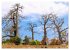 Sao Tome. Paradiesinsel vor der Küste... - Bild 4