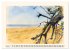LANGEOOG Insel im Wattenmeer... - Bild 13