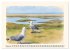 LANGEOOG Insel im Wattenmeer... - Bild 8