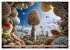 Fantastische Naturvisionen. Wo Gedanken... - Bild 14