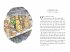Winnie-the-Pooh: Once There Was a Bear - Bild 3