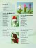 Chunky Amigurumi Crochet: 35 easy... - Bild 5