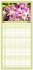 Familienplaner 2026 - Orchidaceae -... - Bild 11