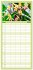 Familienplaner 2026 - Orchidaceae -... - Bild 12