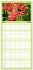 Familienplaner 2026 - Orchidaceae -... - Bild 13