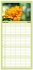 Familienplaner 2026 - Orchidaceae -... - Bild 8