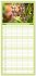 Familienplaner 2026 - Orchidaceae -... - Bild 9
