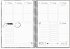 Burde Kalender Doodle Blumen 2026 - Bild 2