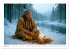 Spirituelle indianische Reise... - Bild 7