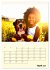 Der Familienkalender - Mit Hund durchs... - Bild 10