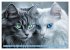 Katzen Illustrationen - Faszination pur... - Bild 12