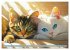 Katzen Illustrationen - Faszination pur... - Bild 3