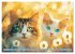 Katzen Illustrationen - Faszination pur... - Bild 10