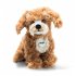 Steiff 076909 - Curlie Cockapoo,... - Bild 2