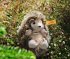 Steiff 074387 - Joggi Baby-Igel,... - Bild 3