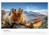 Hallo Murmeltier (Wandkalender 2026 DIN... - Bild 4