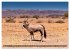 Namibia und Botswana - Entdeckungen in... - Bild 11