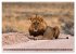 Namibia und Botswana - Entdeckungen in... - Bild 12