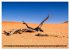 Namibia und Botswana - Entdeckungen in... - Bild 9
