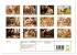 Else Ury (Wandkalender 2026 DIN A4... - Bild 6
