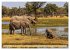 Das Okavango-Delta - Naturwunder im... - Bild 7