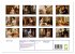 Jane Austen (Wandkalender 2026 DIN A4... - Bild 6