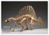 Knochen der Giganten - Dinosaurier im... - Bild 8