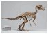 Knochen der Giganten - Dinosaurier im... - Bild 10